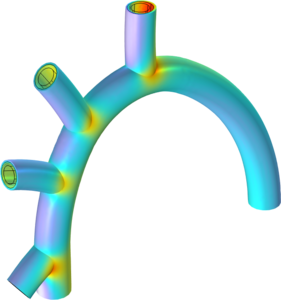 血管网络中的流-固耦合